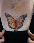 bflycleav