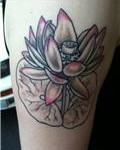 lotus