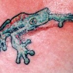 wldfrog