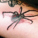 wldspider